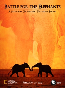 Battle-For-The-Elephants-Poster-Social
